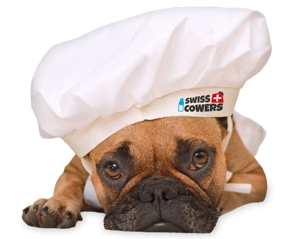 dog-cook-swisscowers